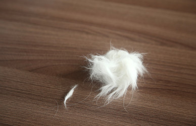 Similar image 22523006