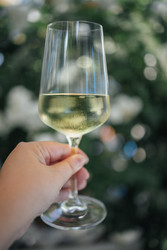 Similar image 22528369