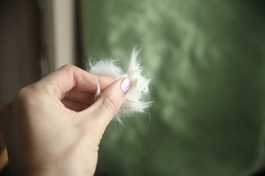 Similar image 22523007