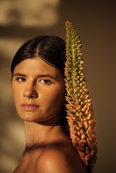 Similar image 22528147