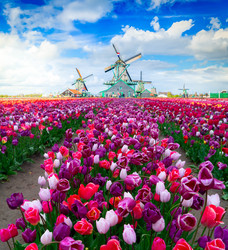 Similar image 22587100