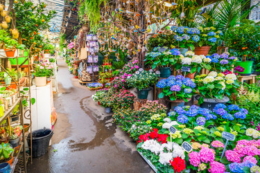 Similar image 22587459