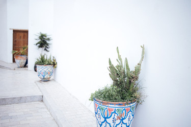 Similar image 22528234