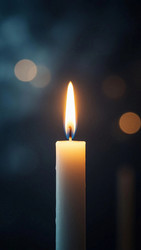 Similar image 22555708