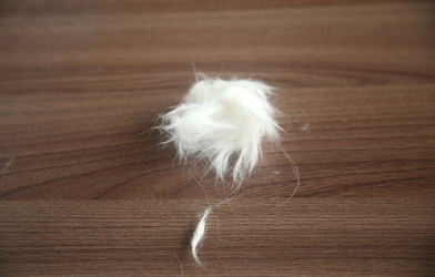 Similar image 22523008