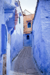 Similar image 22528350