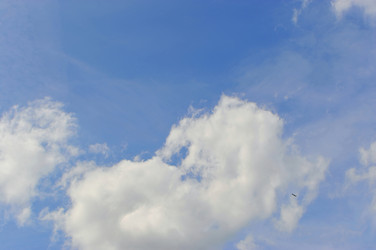 Similar image 22527669