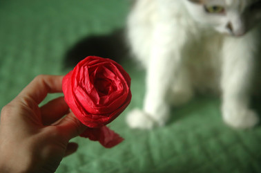 Similar image 22538771