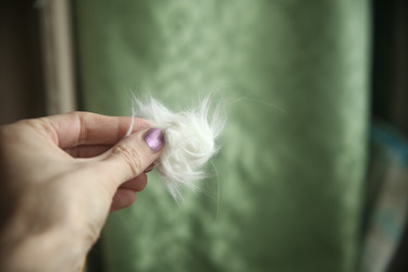 Similar image 22523009