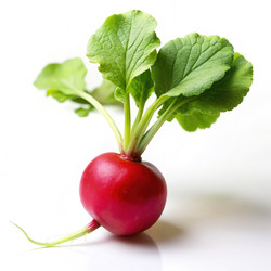 Similar image 22535051