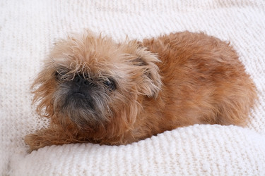 Similar image 22522992