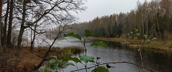 Similar image 22560171