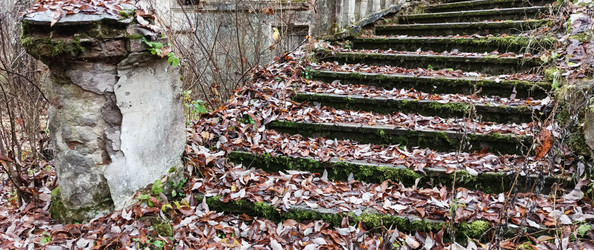 Similar image 22560174