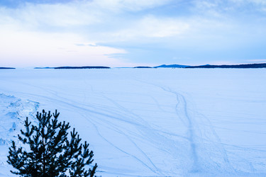 Similar image 22523410