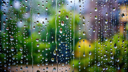 Similar image 22537823