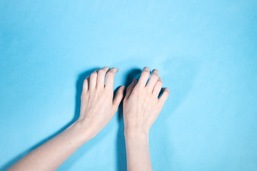 Similar image 22529082