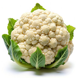 Similar image 22537915