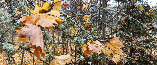 Similar image 22560189