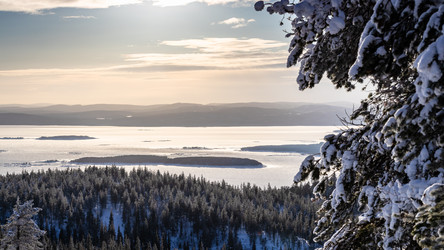 Similar image 22529230