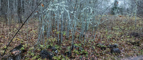 Similar image 22560190