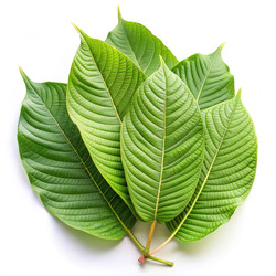 Similar image 22538063