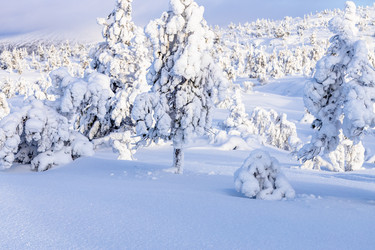 Similar image 22529352