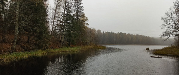 Similar image 22560202