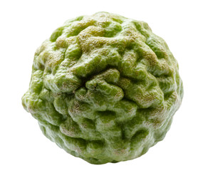 Similar image 22529413