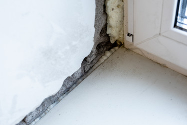 Similar image 22529437