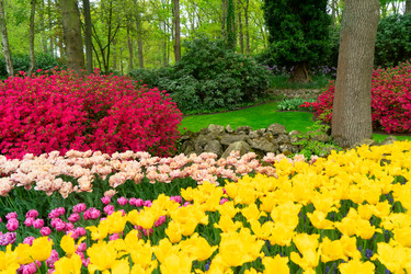 Similar image 22587760