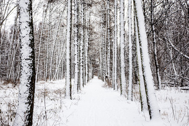 Similar image 22529895