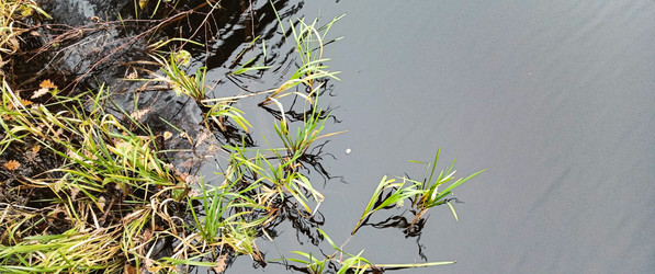 Similar image 22560177