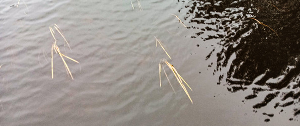 Similar image 22560179