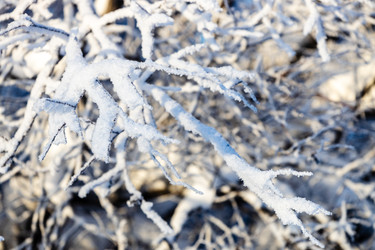 Similar image 22523411