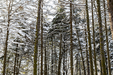 Similar image 22523412