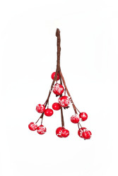 Similar image 22530145