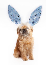 Similar image 22530165