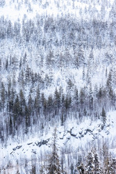 Similar image 22529232