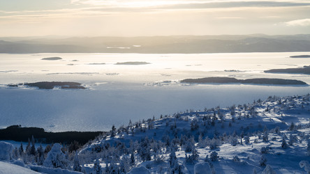 Similar image 22529261