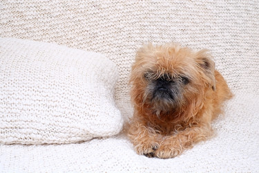 Similar image 22531716