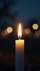 Similar image 22534944