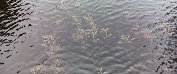 Similar image 22560200