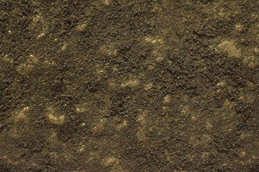 Similar image 22531911