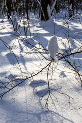 Similar image 22529480