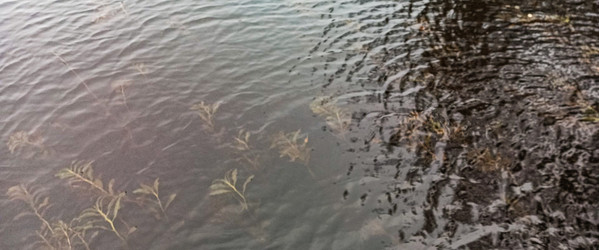 Similar image 22560209