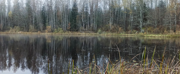 Similar image 22560211