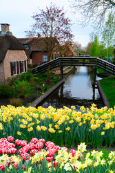 Similar image 22587732