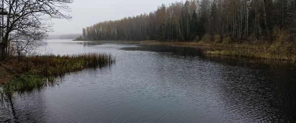 Similar image 22560213