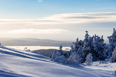 Similar image 22529567