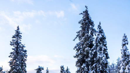 Similar image 22529595